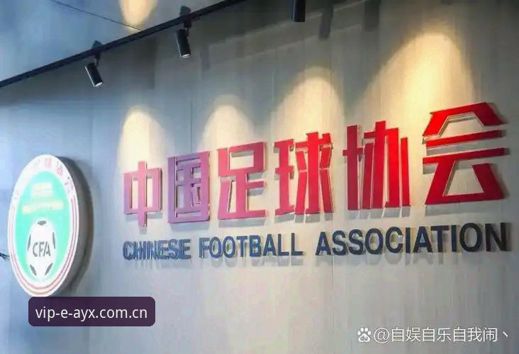 足协禁足令与赛事公正性对比：从终身禁赛名单看中国足球反腐风暴